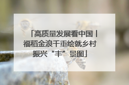 高质量发展看中国丨福稻金浪千重绘就乡村振兴“丰”景图