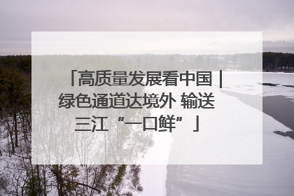 高质量发展看中国｜绿色通道达境外 输送三江“一口鲜”