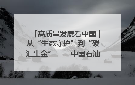 高质量发展看中国｜从“生态守护”到“碳汇生金”——中国石油大庆油田绿色蝶变