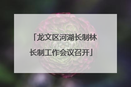 龙文区河湖长制林长制工作会议召开