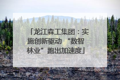 龙江森工集团：实施创新驱动 “数智林业”跑出加速度