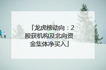 龙虎榜动向：2股获机构及北向资金集体净买入