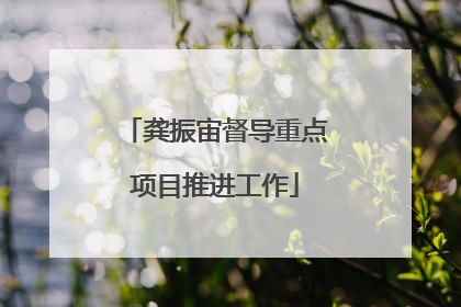 龚振宙督导重点项目推进工作