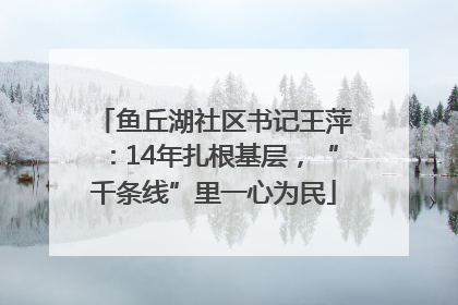鱼丘湖社区书记王萍：14年扎根基层，“千条线”里一心为民