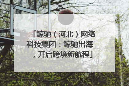 鲸驰（河北）网络科技集团：鲸驰出海，开启跨境新航程