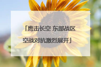 鹰击长空 东部战区空战对抗激烈展开