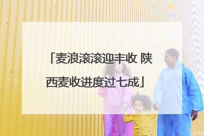 麦浪滚滚迎丰收 陕西麦收进度过七成