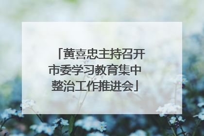 黄喜忠主持召开市委学习教育集中整治工作推进会