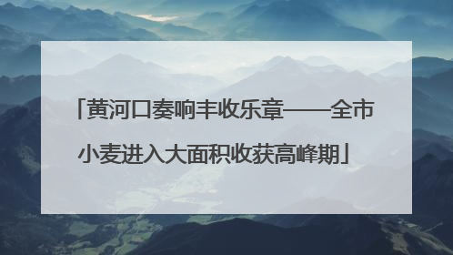 黄河口奏响丰收乐章——全市小麦进入大面积收获高峰期