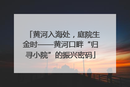 黄河入海处，庭院生金时——黄河口畔“归寻小院”的振兴密码
