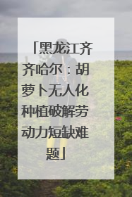 黑龙江齐齐哈尔：胡萝卜无人化种植破解劳动力短缺难题