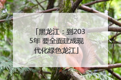 黑龙江：到2035年 要全面建成现代化绿色龙江