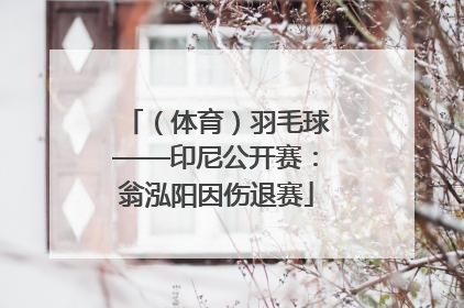 （体育）羽毛球——印尼公开赛：翁泓阳因伤退赛