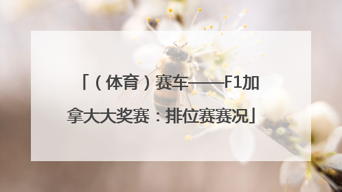 （体育）赛车——F1加拿大大奖赛：排位赛赛况