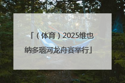 （体育）2025维也纳多瑙河龙舟赛举行