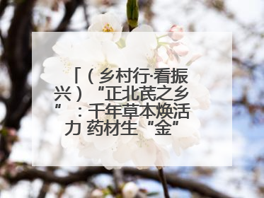 （乡村行·看振兴）“正北芪之乡”：千年草本焕活力 药材生“金”富农家