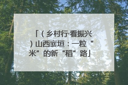 （乡村行·看振兴）山西襄垣：一粒“米”的新“稻”路