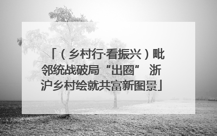 （乡村行·看振兴）毗邻统战破局“出圈” 浙沪乡村绘就共富新图景