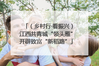 （乡村行·看振兴）江西共青城“领头雁”开辟致富“新稻路”