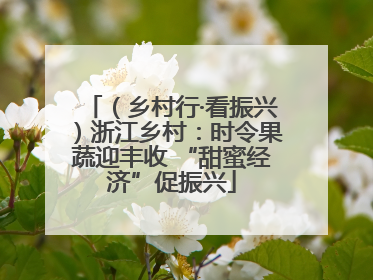 （乡村行·看振兴）浙江乡村：时令果蔬迎丰收 “甜蜜经济”促振兴