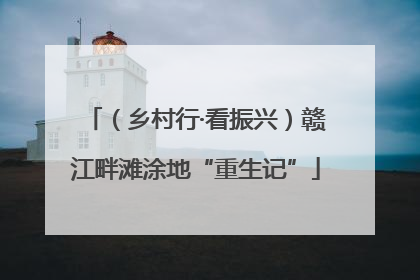 （乡村行·看振兴）赣江畔滩涂地“重生记”