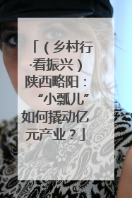 （乡村行·看振兴）陕西略阳：“小瓢儿”如何撬动亿元产业？