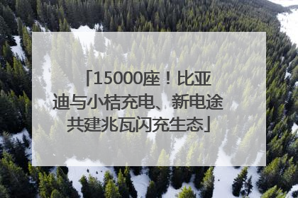 15000座！比亚迪与小桔充电、新电途共建兆瓦闪充生态