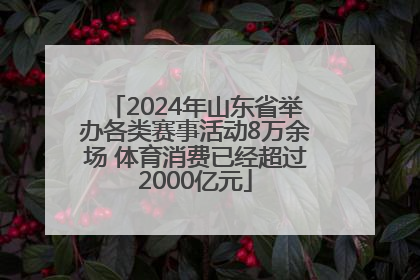 2024年山东省举办各类赛事活动8万余场 体育消费已经超过2000亿元