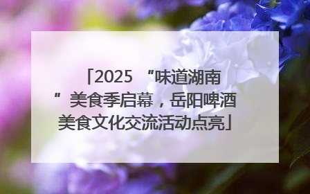 2025 “味道湖南”美食季启幕，岳阳啤酒美食文化交流活动点亮