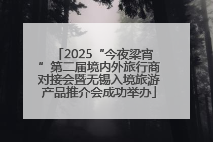 2025“今夜梁宵”第二届境内外旅行商对接会暨无锡入境旅游产品推介会成功举办