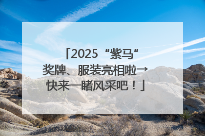 2025“紫马”奖牌、服装亮相啦→快来一睹风采吧！