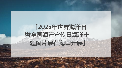 2025年世界海洋日暨全国海洋宣传日海洋主题图片展在海口开展