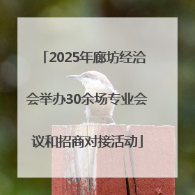2025年廊坊经洽会举办30余场专业会议和招商对接活动