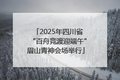2025年四川省“百舟竞渡迎端午”眉山青神会场举行