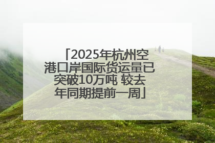 2025年杭州空港口岸国际货运量已突破10万吨 较去年同期提前一周