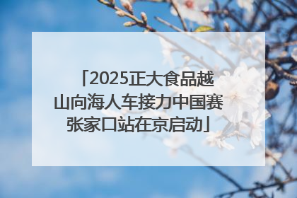 2025正大食品越山向海人车接力中国赛张家口站在京启动