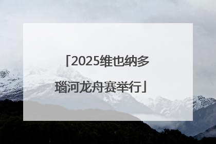 2025维也纳多瑙河龙舟赛举行