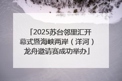 2025苏台邻里汇开幕式暨海峡两岸（洋河）龙舟邀请赛成功举办