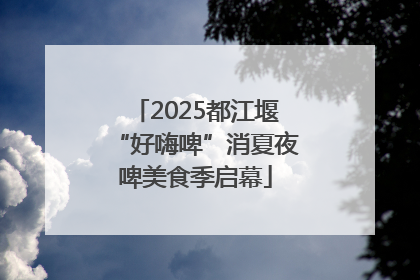 2025都江堰“好嗨啤”消夏夜啤美食季启幕