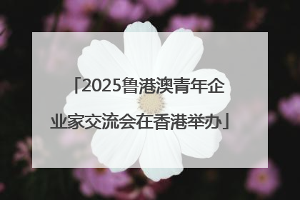 2025鲁港澳青年企业家交流会在香港举办