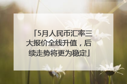 5月人民币汇率三大报价全线升值，后续走势将更为稳定
