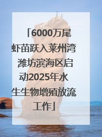 6000万尾虾苗跃入莱州湾 潍坊滨海区启动2025年水生生物增殖放流工作