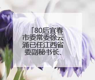 80后宜春市委常委徐云涌已任江西省委副秘书长、办公厅主任