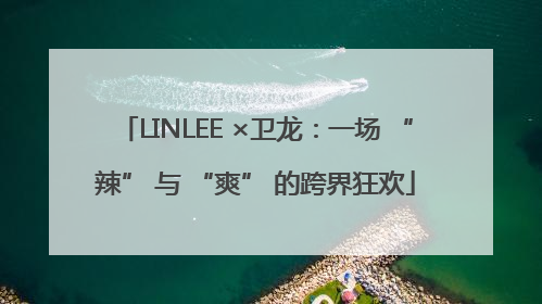 LINLEE ×卫龙：一场 “辣” 与 “爽” 的跨界狂欢