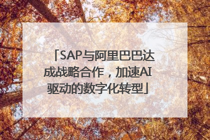 SAP与阿里巴巴达成战略合作，加速AI驱动的数字化转型