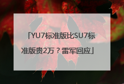 YU7标准版比SU7标准版贵2万？雷军回应